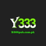 Y333 Game