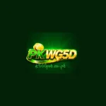 PKWG5D Game