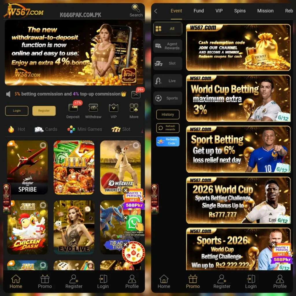 W567 Game