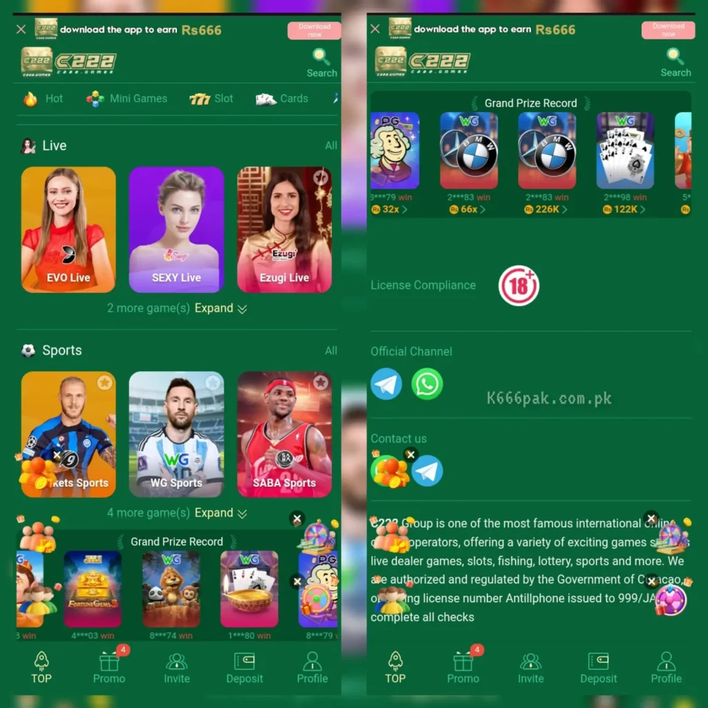 C222 Game